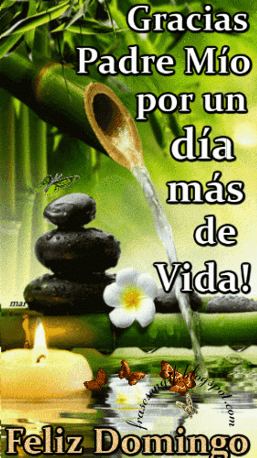 Spa Calmness Feliz Domingo Digital Design GIF