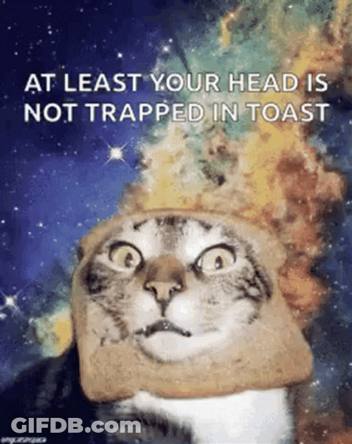 Space Cat So No Head GIF