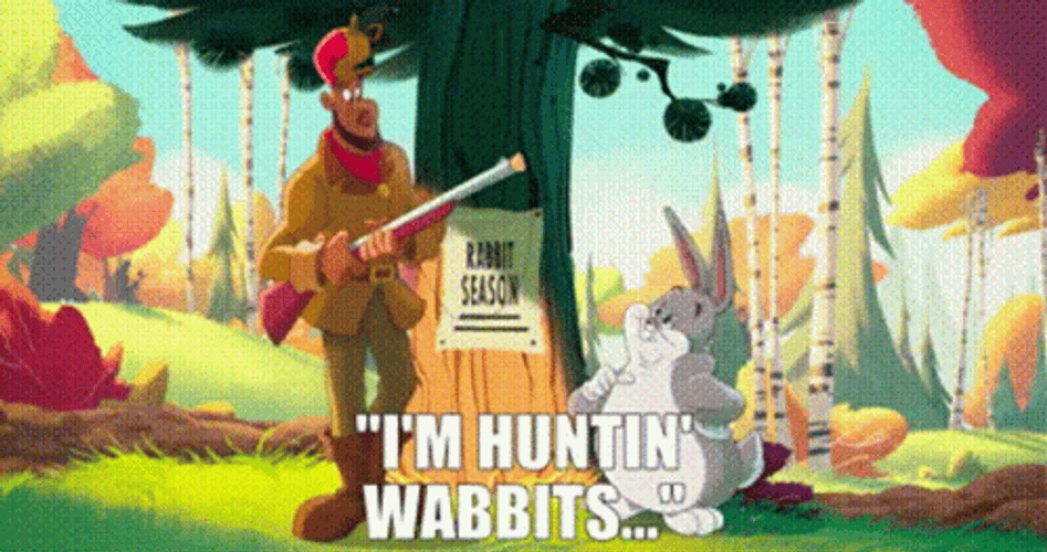 Space Jam Lebron As Elmer Fudd GIF