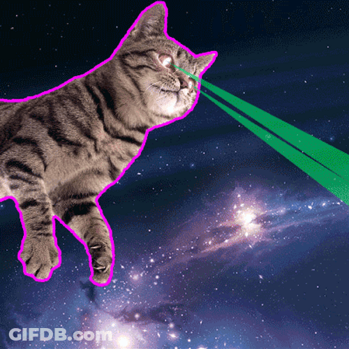 Space Laser Cat GIF