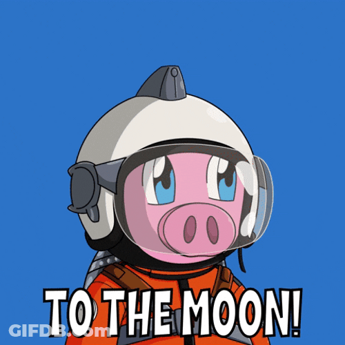 Space Pig Flies To The Moon GIF
