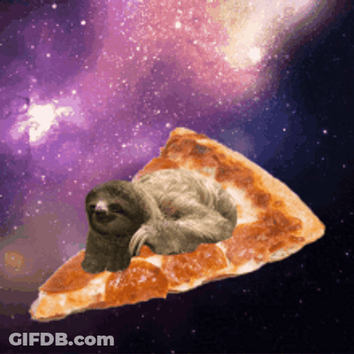 Space Pizza Sloth Purple Galaxy GIF