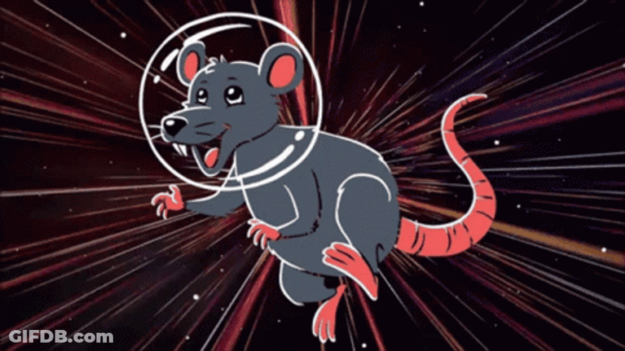 Space Rat Galaxy Meme GIF