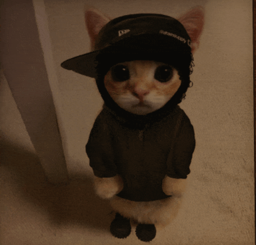Spaghetti Mafia Yo Bad Gyal Meme GIF