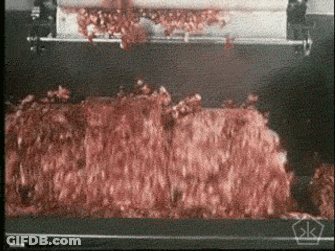Spam GIF