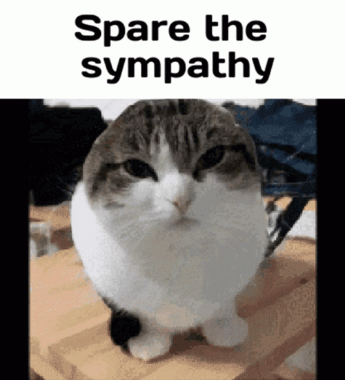 Spare The Sympathy You Didn't Have To Cut Me Off Meme GIF