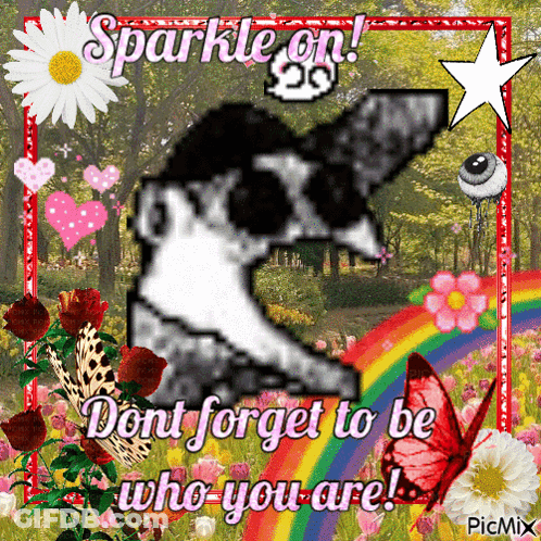 Sparkle Picture GIF