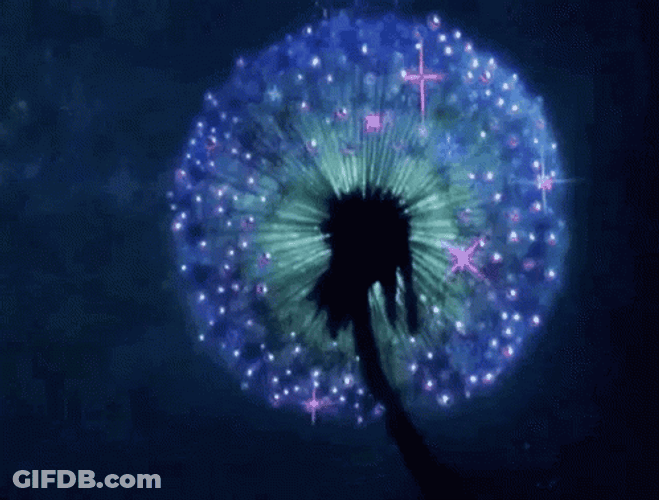 Sparkles Glowing Dandelion In The Night GIF