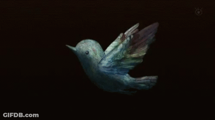 Sparkling Bird Flying GIF