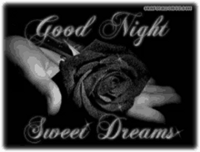 Sparkling Black Rose Good Night Sweet Dreams GIF