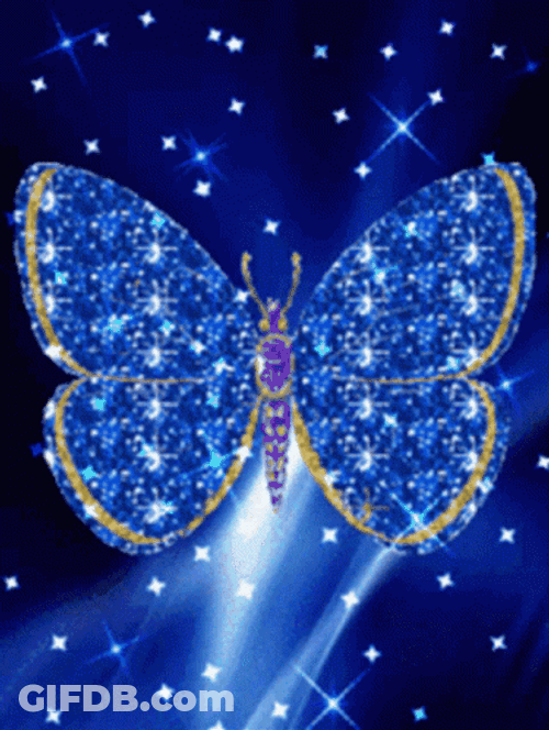 Sparkling Cute Blue Butterfly GIF