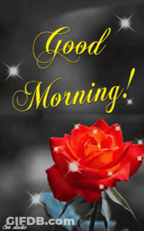 Sparkling Good Morning Roses GIF