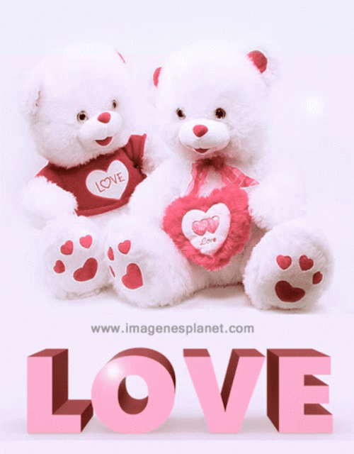Sparkling Love Bears Amor GIF