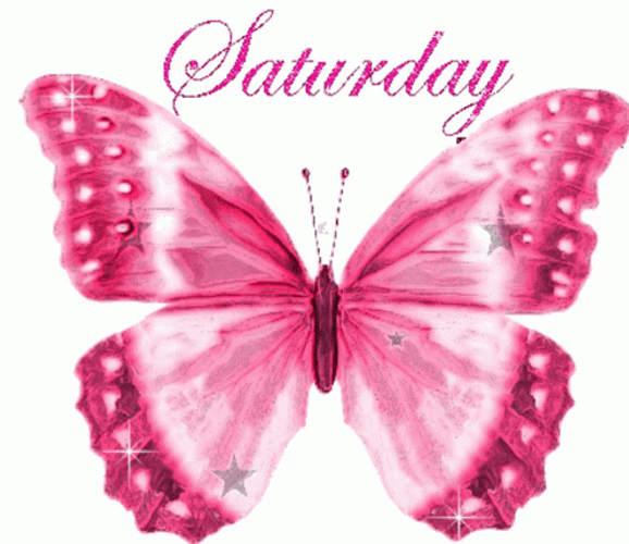 Sparkling Pink Butterfly GIF