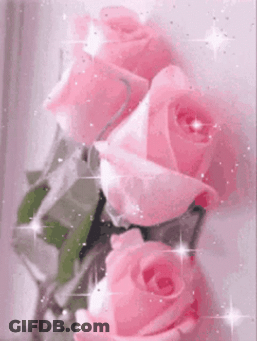 Sparkling Pink Roses GIF