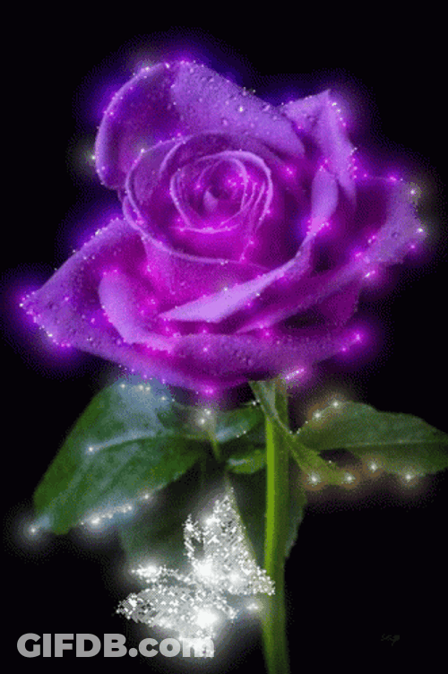Sparkling Purple Rose And Butterfly GIF
