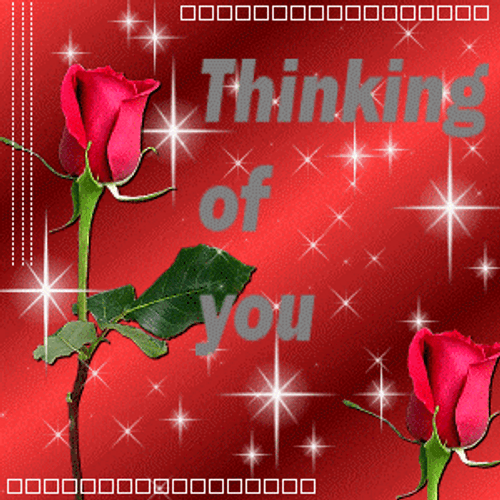 Sparkling Red Roses Thinking Of You Sympathy GIF
