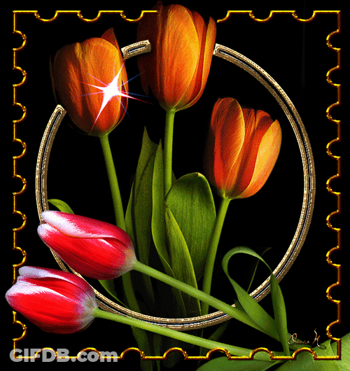 Sparkling Tulip Flowers GIF
