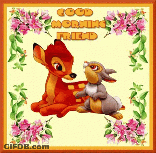 Special Good Morning Friend GIF