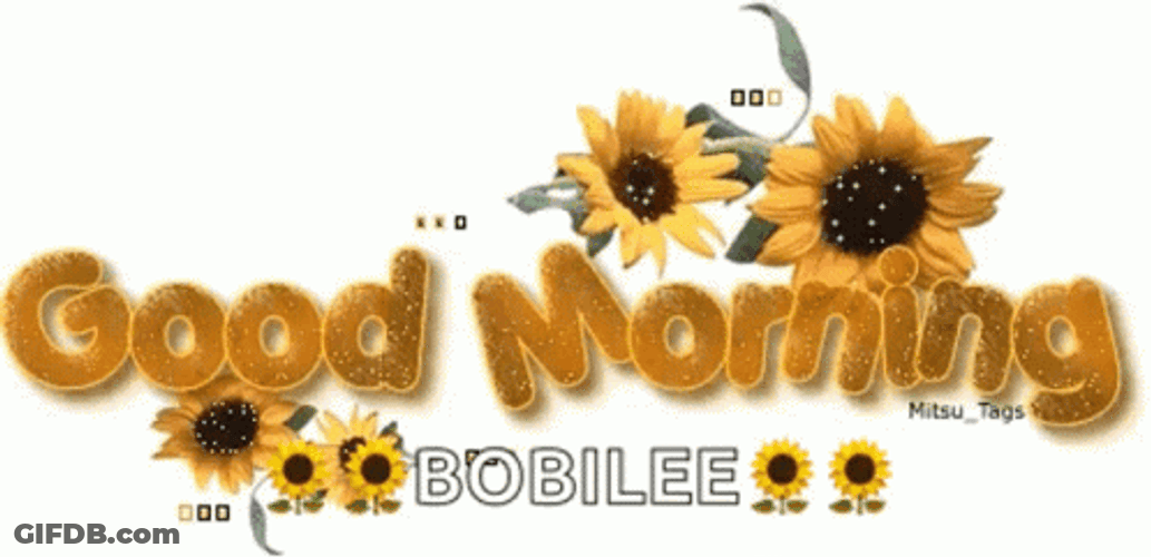 Special Good Morning Sun Flower GIF