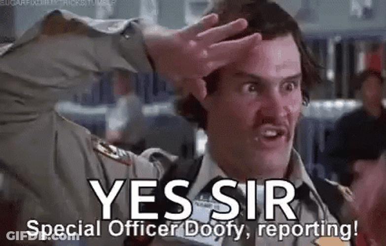 Special Officer Doofy Salute Major Payne GIF