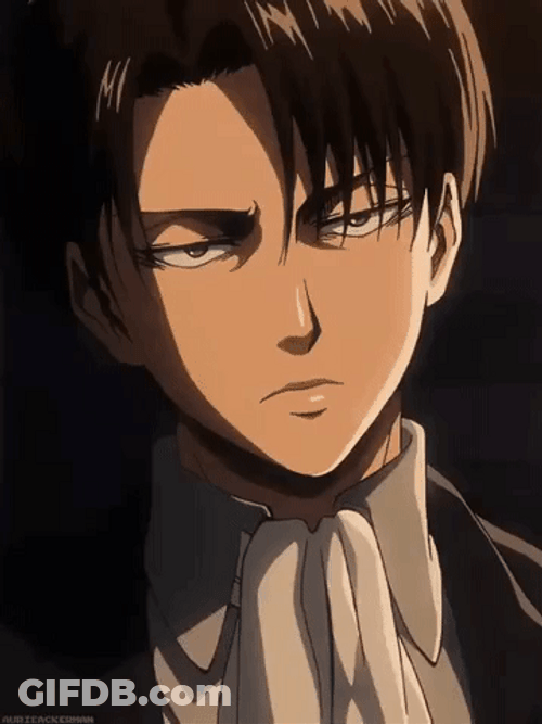Special Operations Squad Captain Levi Ackerman GIF
