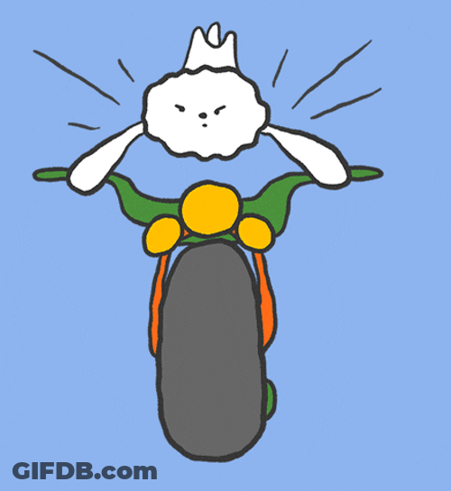 Sped Up Bike Ride Cartoon Kawaii Airborne GIF