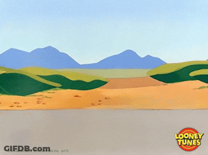 Sped Up Chase Roadrunner Looney Tunes GIF