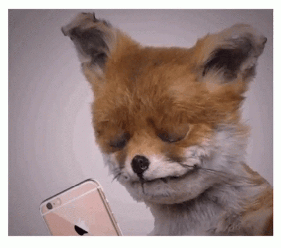 Speechless Fox Stop Motion Animation GIF