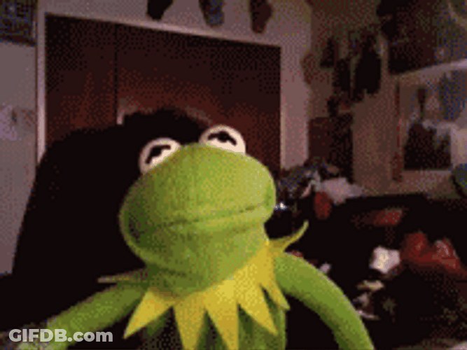 Speechless Kermit The Frog GIF