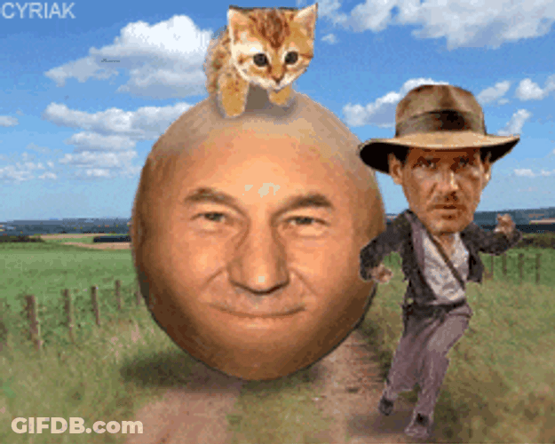 Speechless Running Harrison Ford Meme GIF