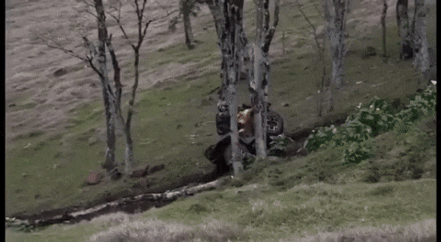Speeding Car Bye Bye GIF