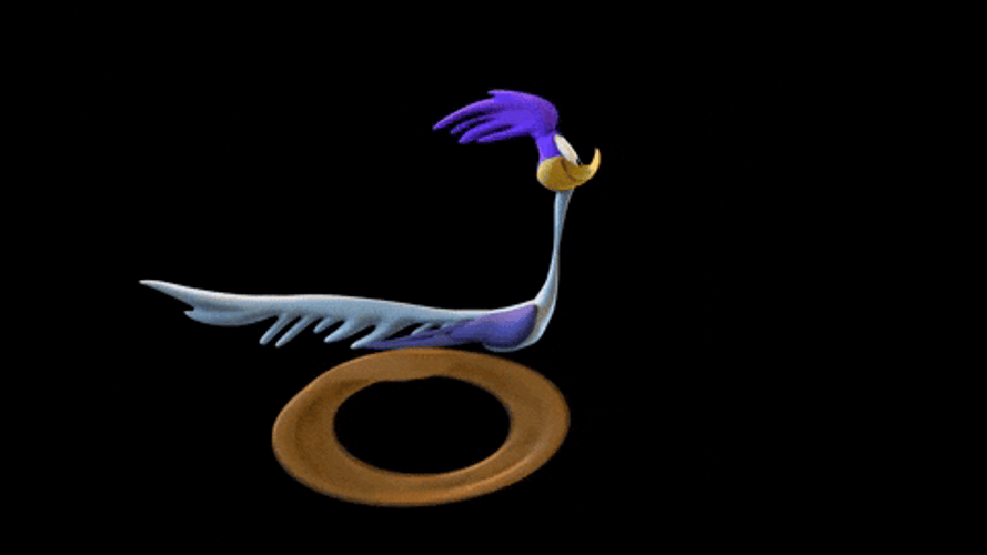 Speeding Road Runner Looney Tunes GIF