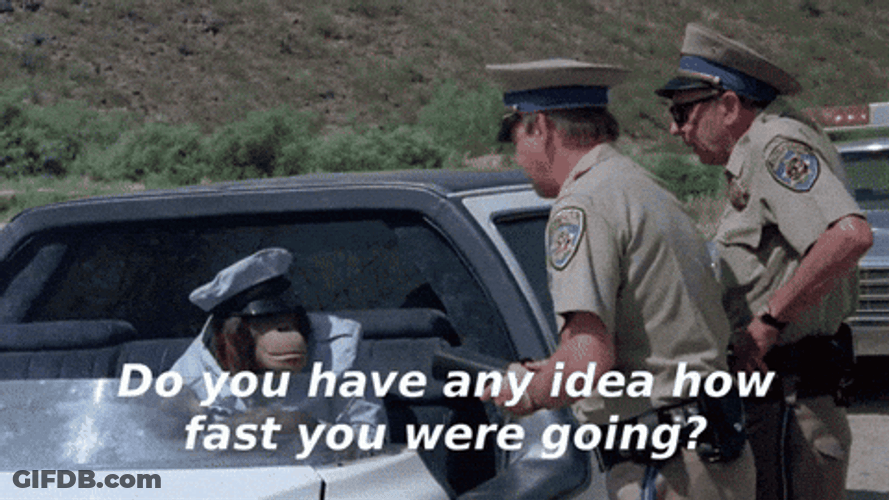 Speeding Ticket Monkey With Policemen GIF