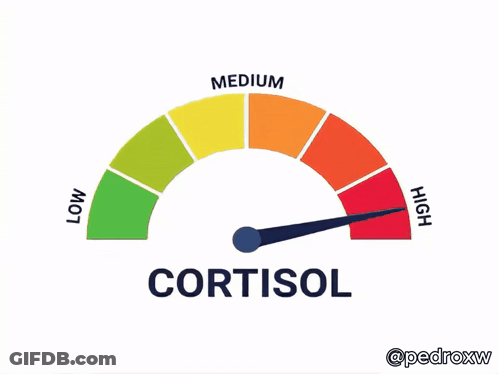 Speedometer Showing Cortisol GIF