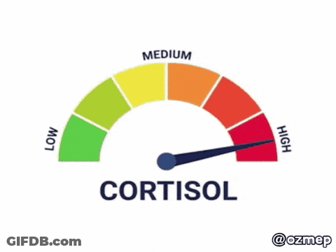 Speedometer With Cortisol Text GIF