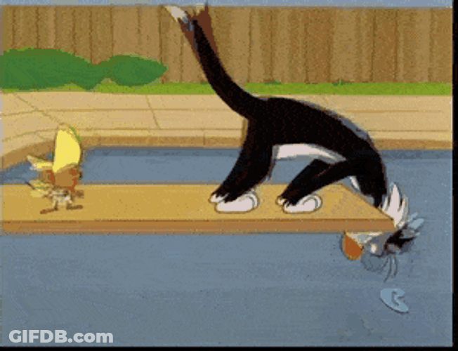 Speedy Gonzales And Sylvester GIF