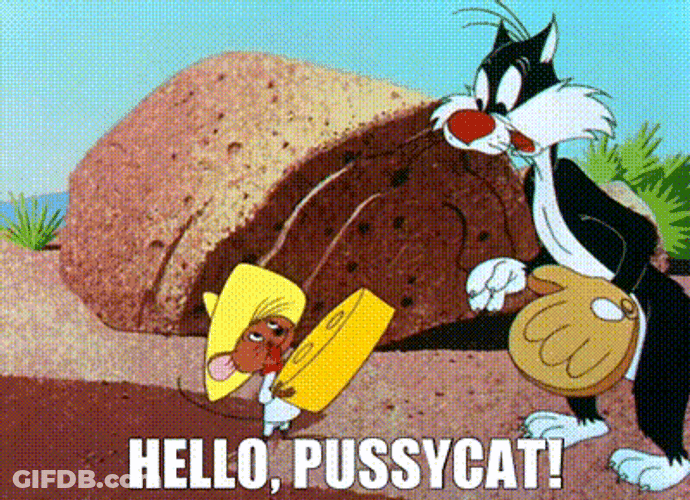 Speedy Gonzales Holding Cheese GIF