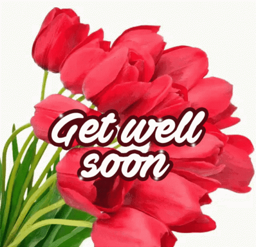 Speedy Recovery Get Well Soon Red Tulips GIF