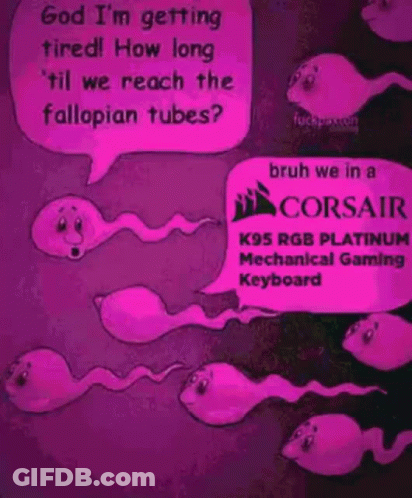 Sperm Talking About Corsair Keyboards GIF