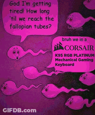 Sperm Talking About Corsair Keyboards GIF