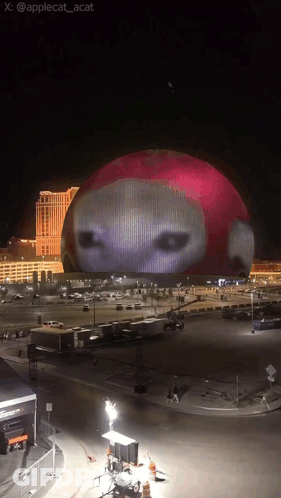 Sphere With Projected Face GIF
