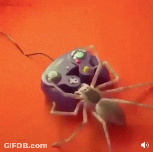 Spider Crawling On Video Game Controller GIF