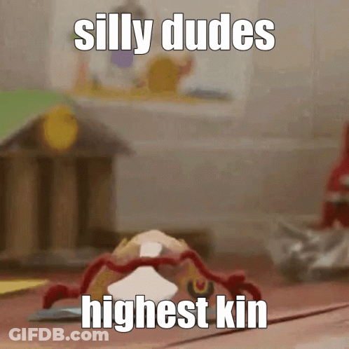 Spider Displaying Text Silly Dudes Highest Kin GIF