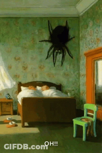 Spider Hanging Above Bed GIF