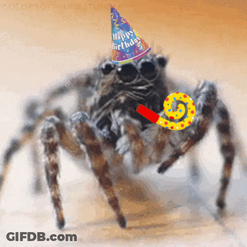 Spider In Party Hat Saying Happy Birthday GIF