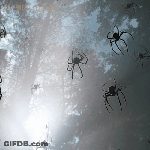 Spider Jumpscare Creepy Bug GIF