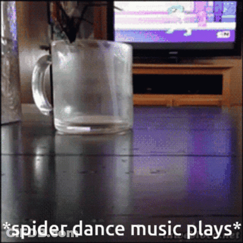Spider Jumpscare Dance Music Plays GIF