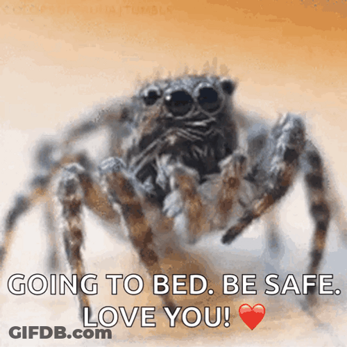 Spider Jumpscare Going To Bed Be Safe GIF