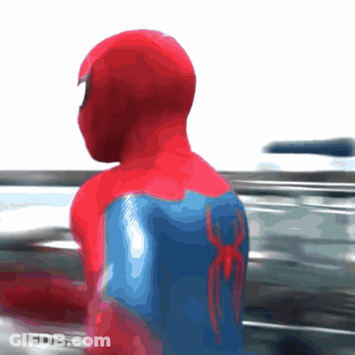 Spider-Man Back With Spider GIF